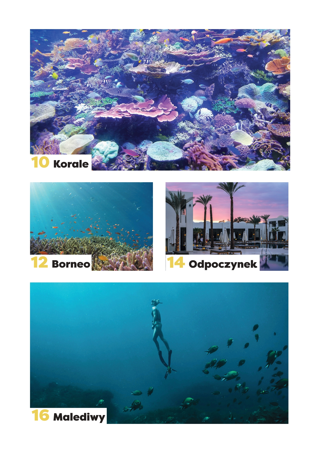 katalog